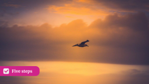 Five steps: Confidence-building shifts to move from HR Director to CHRO
