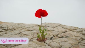 From the Editor: Leadership, resilience and the problem(s) with AI